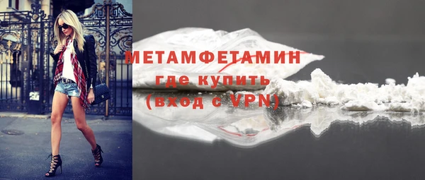 прущие грибы Ахтубинск