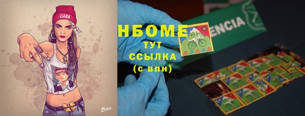 индика Мегион