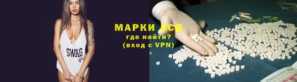индика Мегион