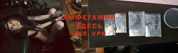 индика Мегион