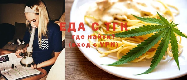 индика Мегион