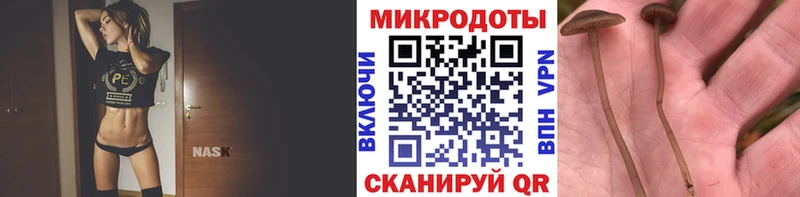 Галлюциногенные грибы мухоморы  Вихоревка 